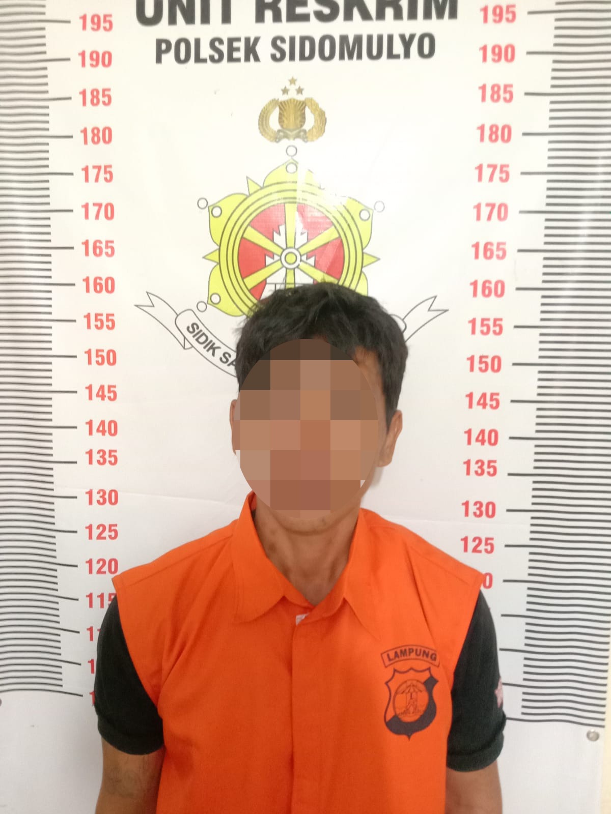 Gondol Mesin Steam Motor dan Handphone di Sidomulyo Lamsel, 2 Pelaku Diringkus Polisi